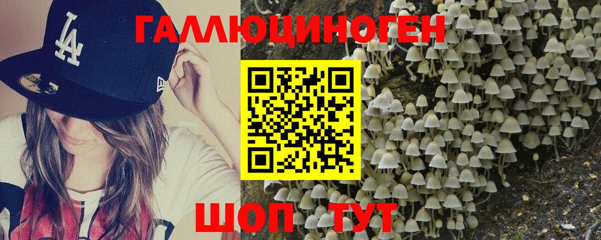Галлюциногенные грибы Psilocybine cubensis Мирный