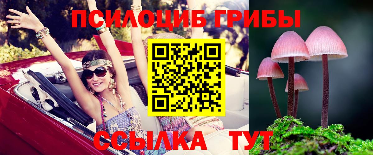 Галлюциногенные грибы MAGIC MUSHROOMS  Вход с VPN  Галлюциногенные грибы GOLDEN TEACHER  Мирный 